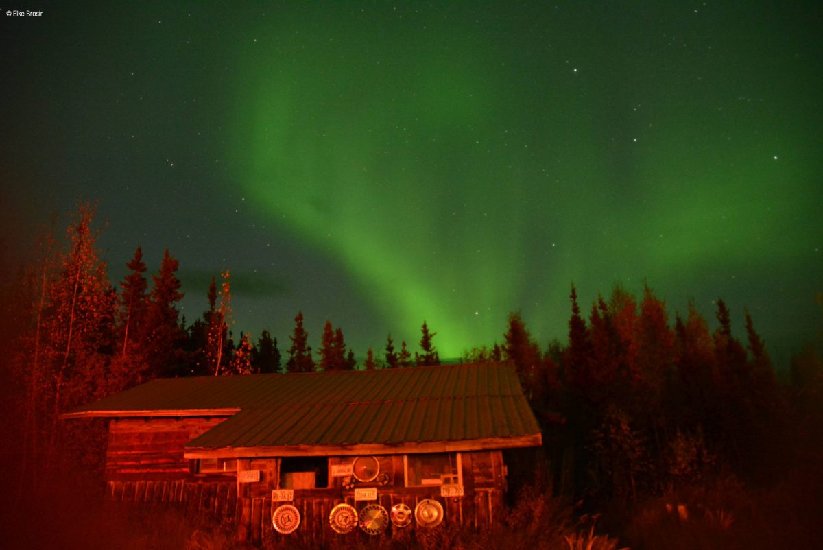 Elke-Brosin-Fairwell-Travel-Alaska-Reisen-Direkt-zum-Nordlicht-nach-Fairbanks