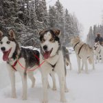 Elke-Brosin-Fairwell-Travel-Alaska-Reisen-Winter-Broschüre-Fairbanks-Alaska